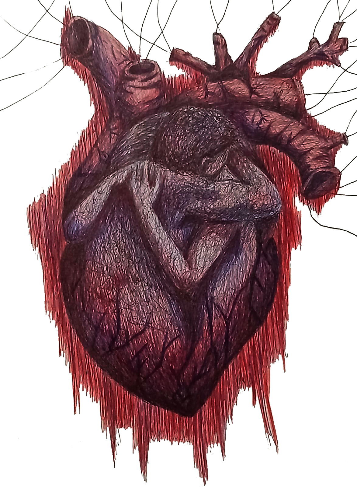 Corazón