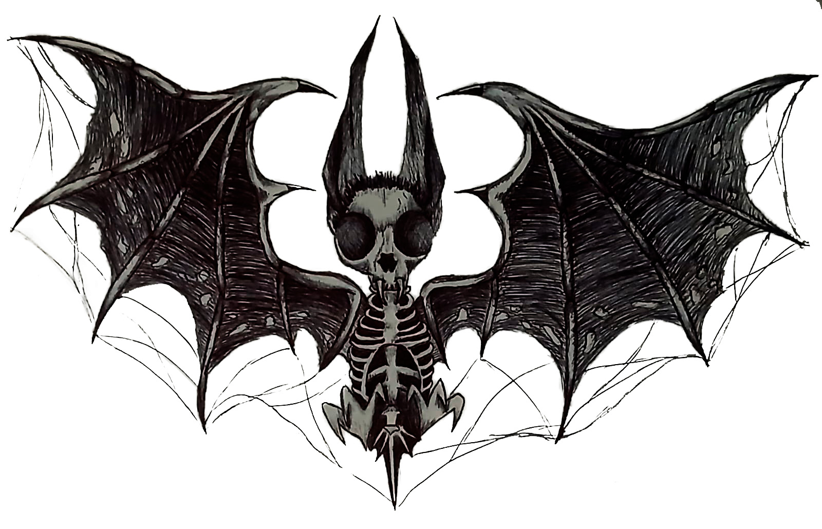 Murciélago